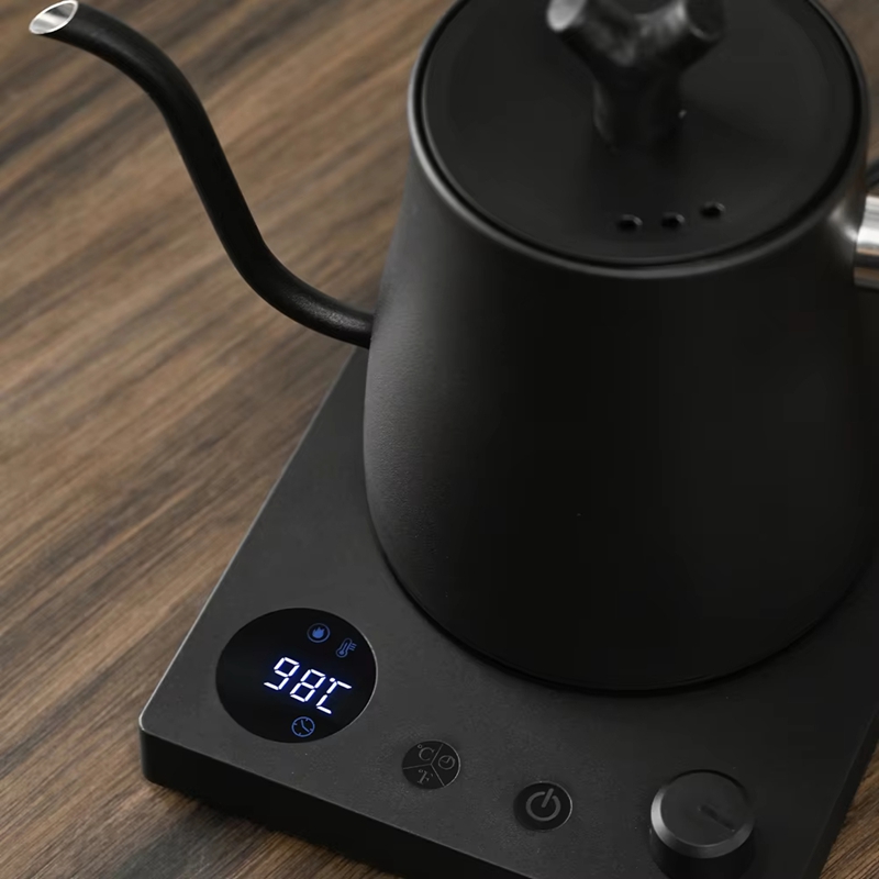 Electric Kettle Temperature Control - Bouilloire électrique à col de cygne