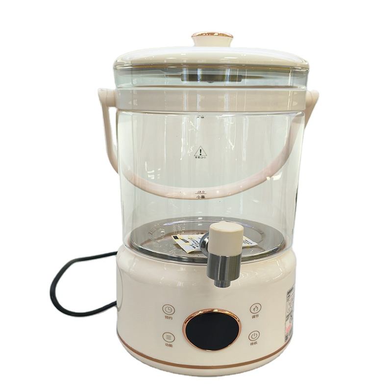 Electric Kettle Temperature Control - Bouilloire électrique sans fil en verre