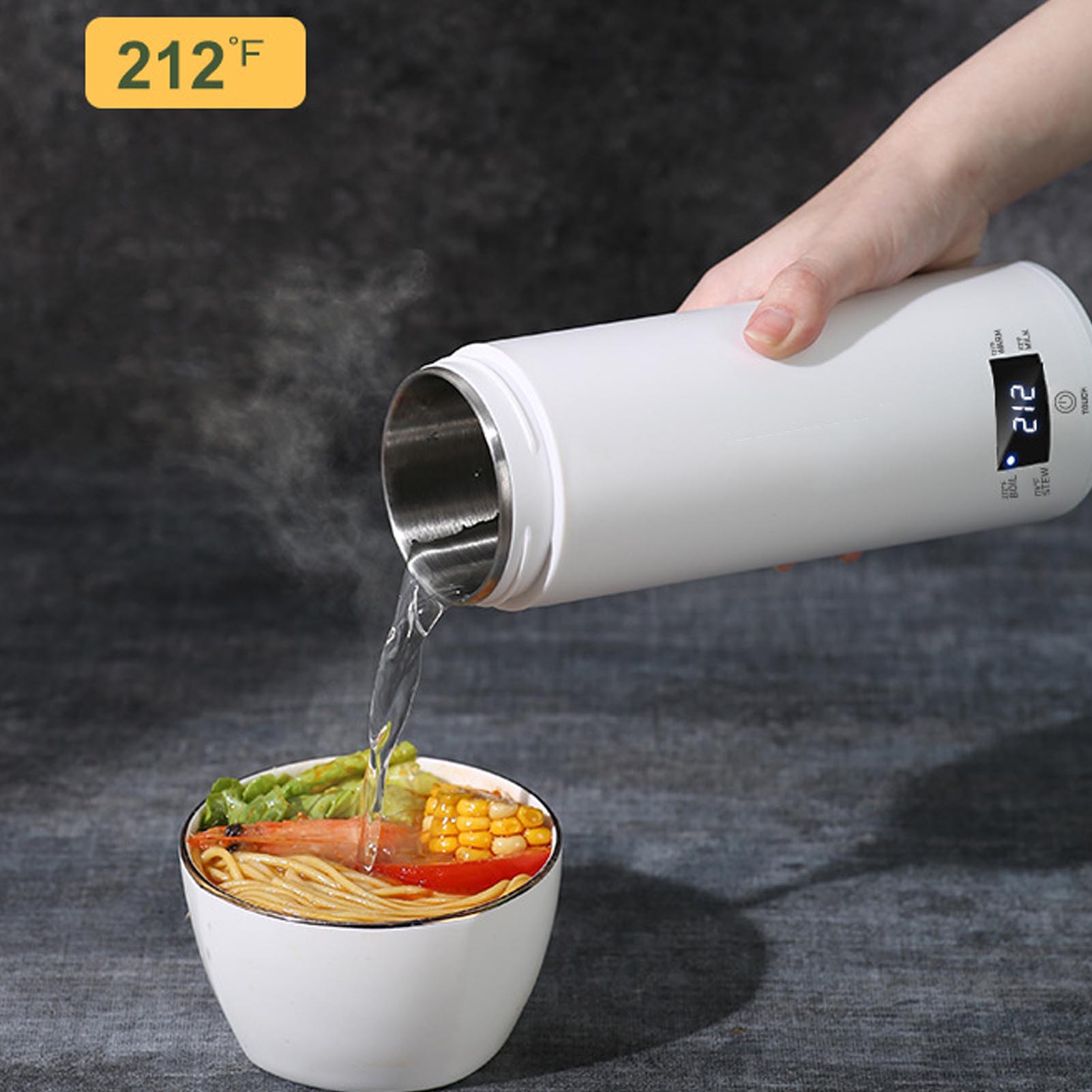 Electric Kettle Temperature Control - Mini bouilloire électrique Portable 450ml avec