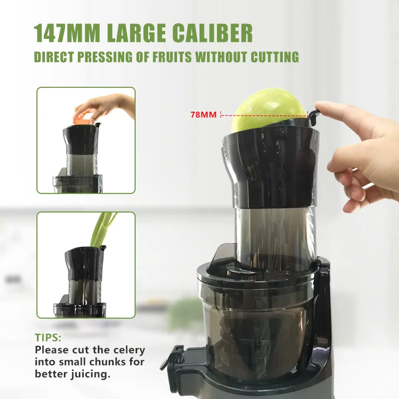 Extracteur de jus lent électri - Electric Slow Juicer Cold Press avis et prix