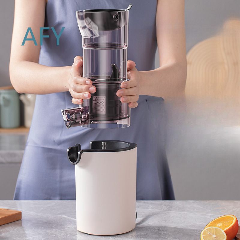 Extracteur de jus électrique 2 - Electric Slow Juicer Cold Press avis et prix