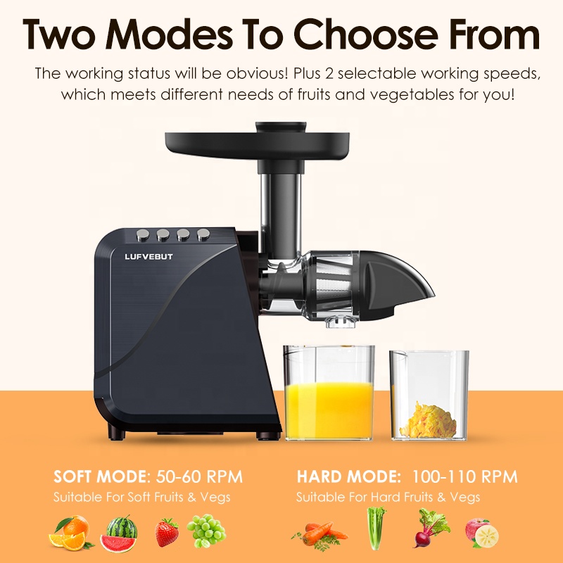 Presse-agrumes électrique lent - Electric Slow Juicer Cold Press avis et prix