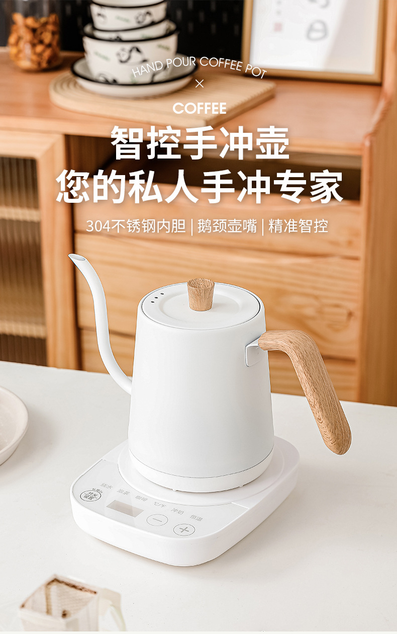 Bouilloire électrique à col de - Electric Kettle Temperature Control avis et prix