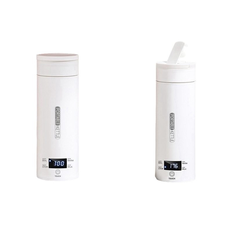 Bouilloire électrique de voyag - Electric Kettle Temperature Control avis et prix